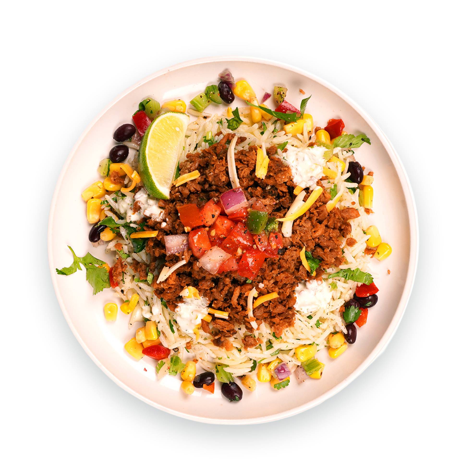 Vegan Street Taco Beef Bowl